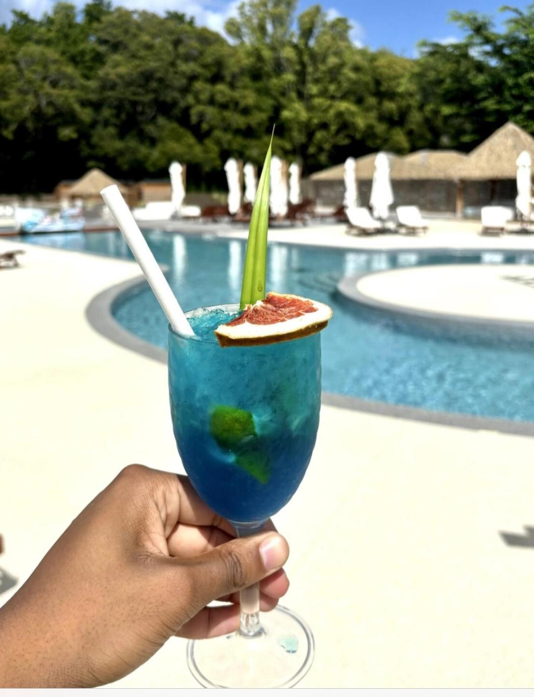 La Ruche De Maia - Blue Dream Beach - Piscine - Jardin - Plage Grand-Bourg  Екстер'єр фото