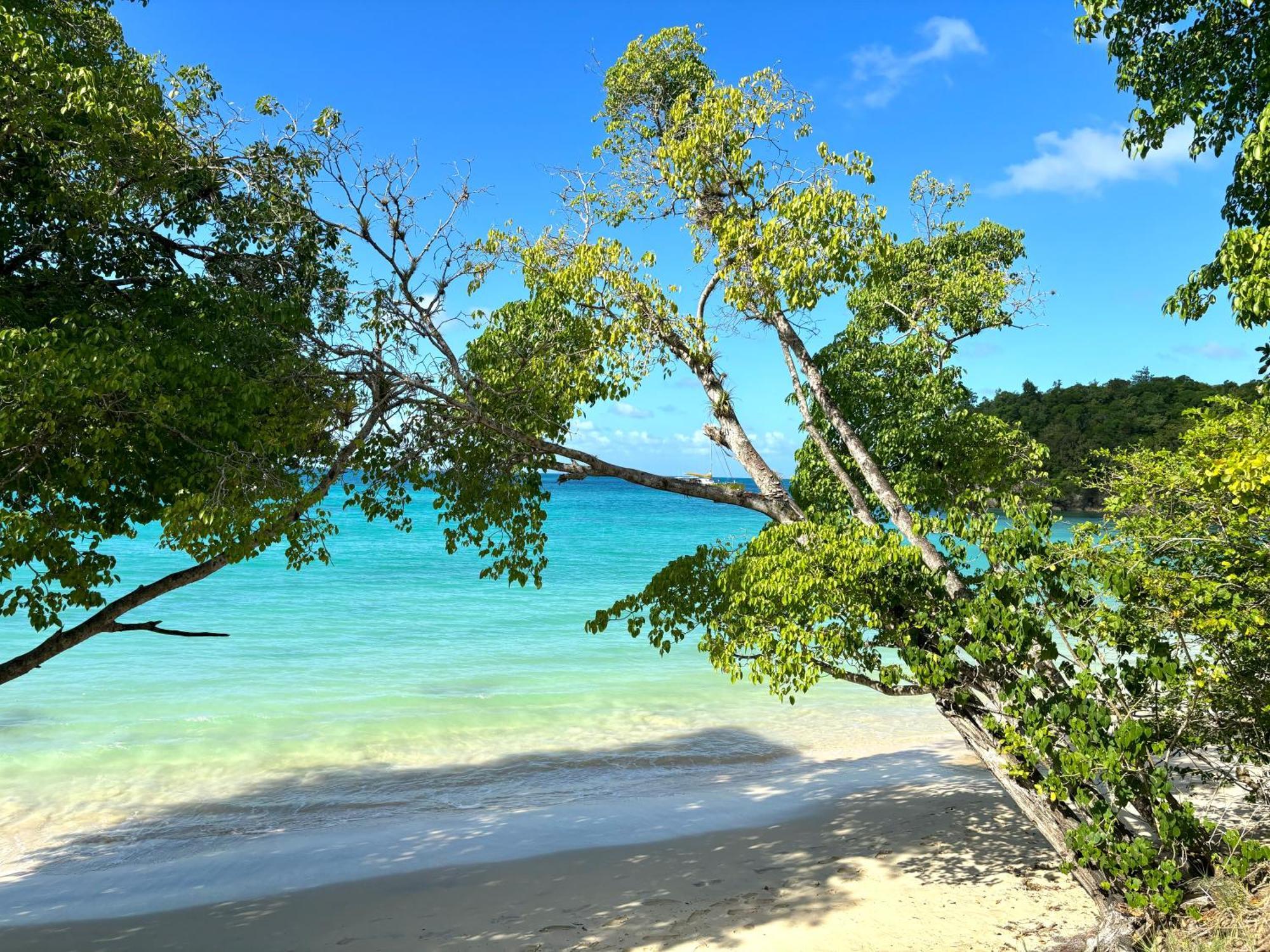 La Ruche De Maia - Blue Dream Beach - Piscine - Jardin - Plage Grand-Bourg  Екстер'єр фото