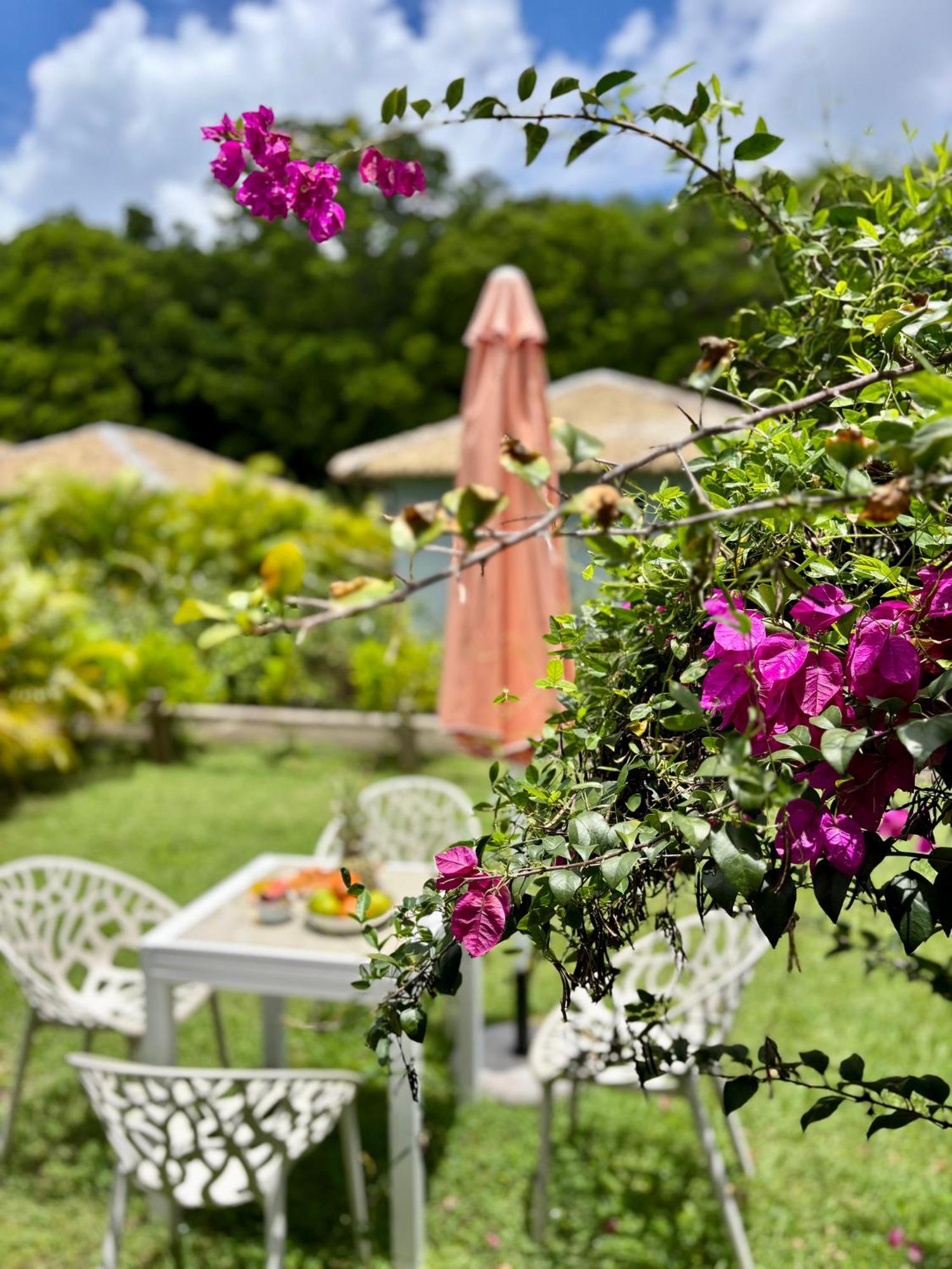 La Ruche De Maia - Blue Dream Beach - Piscine - Jardin - Plage Grand-Bourg  Екстер'єр фото